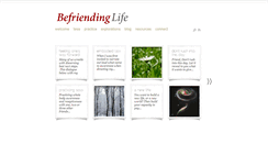Desktop Screenshot of befriendinglife.com