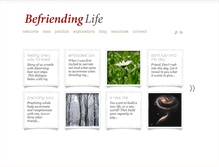 Tablet Screenshot of befriendinglife.com